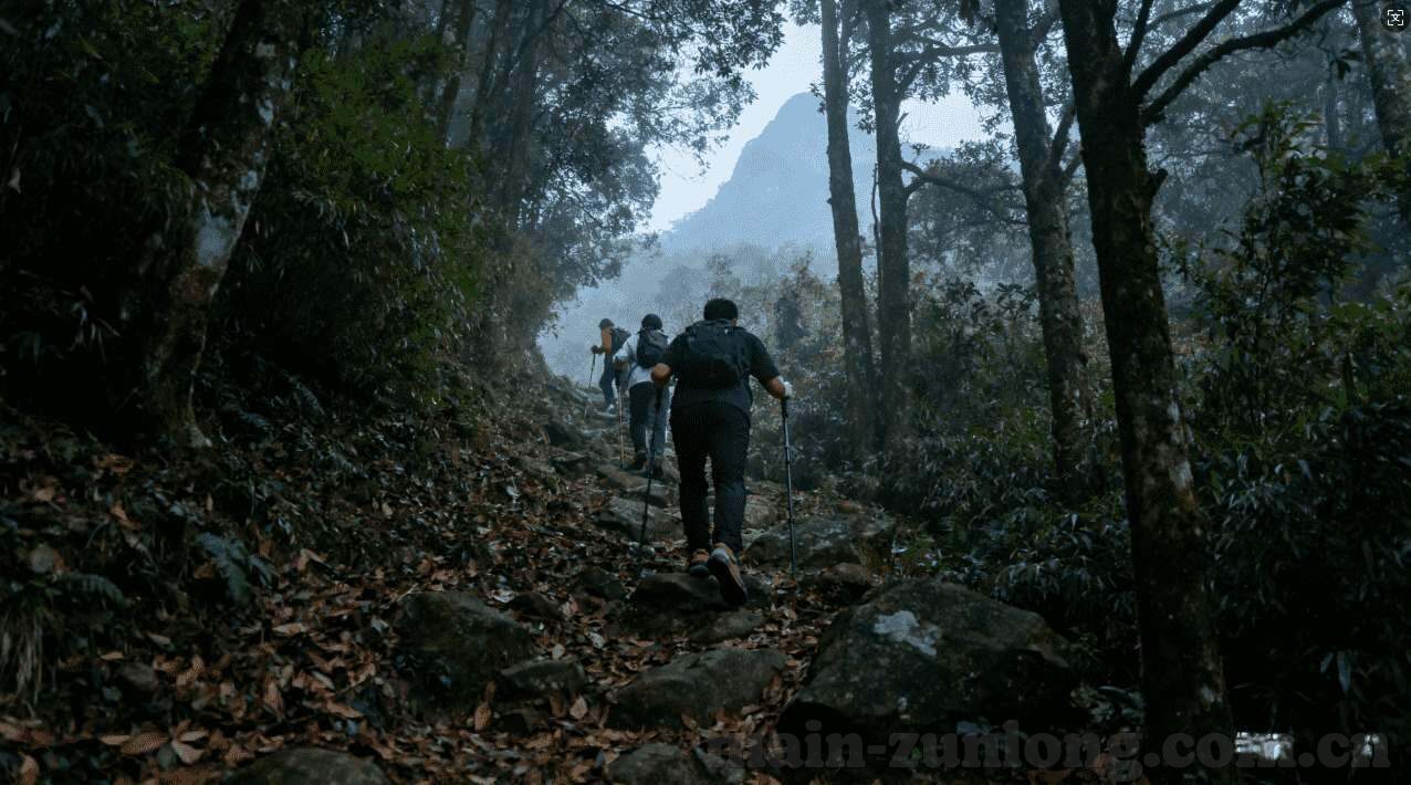澳门赌场平台开户网站-澳门赌场平台开户网站，安全、便捷与娱乐的完美结合
