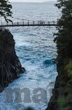 澳门本地人去赌场-澳门本地人眼中的赌场，一种生活方式与文化的交织